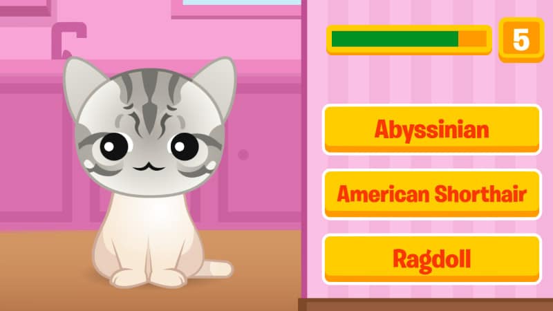 screenshot walkthrough