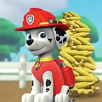 Paw Patrol Corn Roast Catastrophe